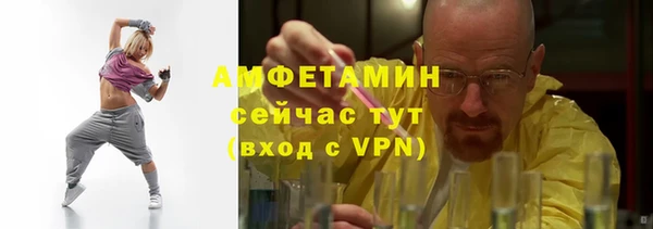 дурь Няндома