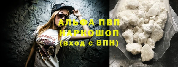 дурь Няндома
