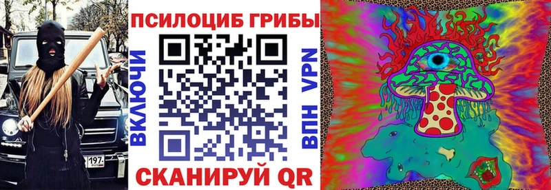 Псилоцибиновые грибы прущие грибы  сколько стоит  Тулун 