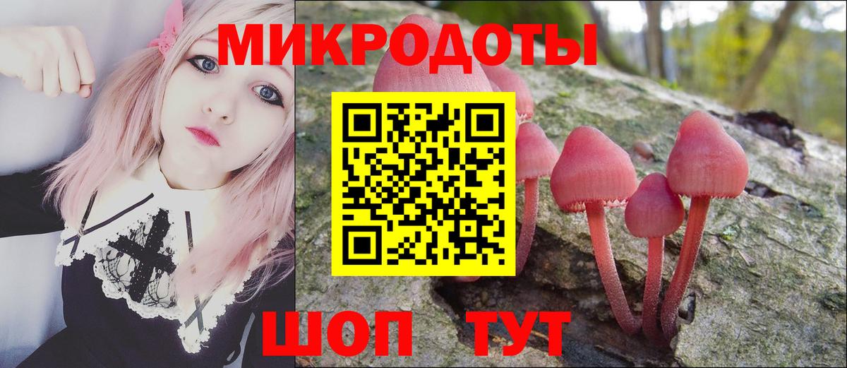 Псилоцибиновые грибы мухоморы  закладка  Тулун  Вход с VPN  Галлюциногенные грибы MAGIC MUSHROOMS 