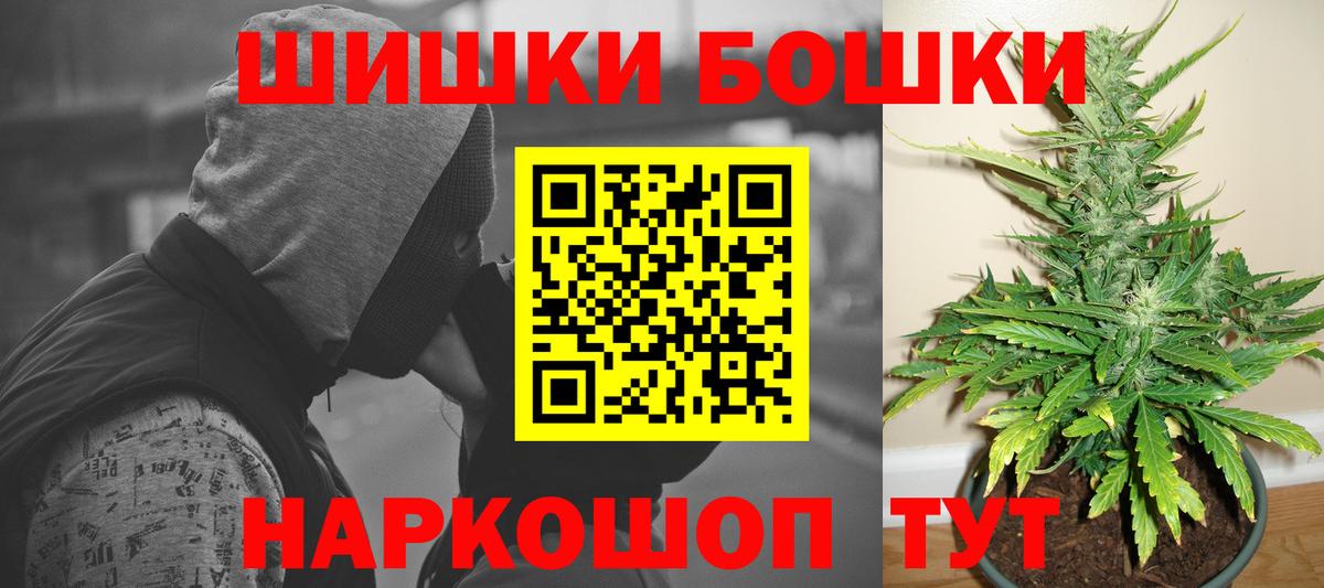 Шишки марихуана план  Вход с VPN  МАРИХУАНА SATIVA & INDICA  Тулун 